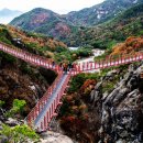 거창 항노화 힐링랜드 자연휴양림 이미지