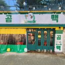 곰맥
