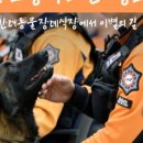 푸른솔 이미지