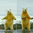 손영환비빔칼국수 이미지