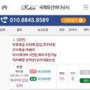 스마트약국 | 9월 지금 인천은 쭈꾸미 낚시가 제철! (feat. 국제유선)