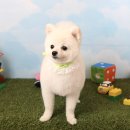 팡앤뭉치 이미지