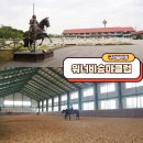 구리승마장 | 구리승마장 워너비승마클럽 서울근교승마레슨 여기서 받아요