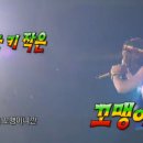 쏘냐 네이버블로그