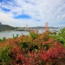 강강술래길 이미지