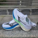 네오젠 | 미즈노 네오젠 러닝화 리뷰 &amp; 실착 후기