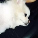 남천동물병원 이미지