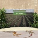 백월농장 이미지