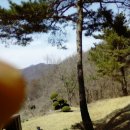 한식풍경 이미지