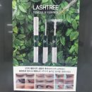 씨유전주솔내점 | 전주 속눈썹펌맛집 송천동 림뷰티