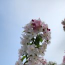 축산면사무소 이미지