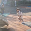 38호공원 Daum카페