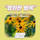 오늘꽃배달