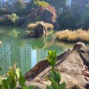 약초원근린공원 이미지