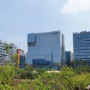 삼평동664-1 이미지