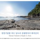 천연기념물 여수 낭도리 공룡발자국 화석산지 이미지