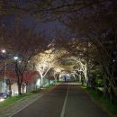 낙동칼국수 이미지