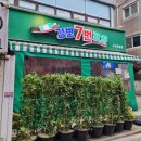 강변7번포차