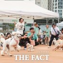 행복하개 이미지