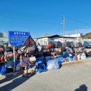 공설시장 양광수산 뒤편 | 울진 장날 5일장 후포공설시장 울진시장 살만한것 먹거리 주차
