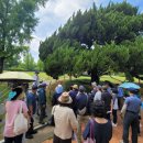 대구향토역사관 이미지