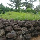 상예동지석묘 1호 이미지