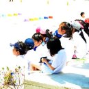 영흥초등학교 이미지