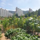 화수분농장 이미지