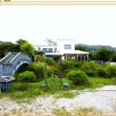 멍멍이천국 이미지