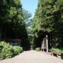 남조로사려니숲길 앞 이미지