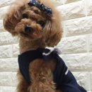 반하다몽몽 | 몽스타일에 반하다 홈모델체험!!