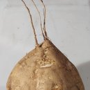 통일로2(서) 이미지