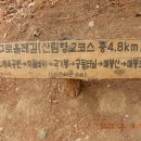 전원2단지어린이공원 이미지