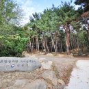 솔바람 유아숲체험원 이미지