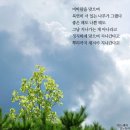국희네식당 - 과천시 | 국희네식당