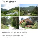영주대성산소주식회사 | [ 답운농장 ] 유기농 티백차 믓차 무차 후기