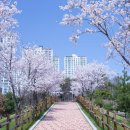 인천한빛초등학교 이미지