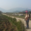 조월경로당 이미지