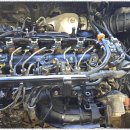 라인 모터스 이미지