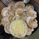 타이어테크 보라점 | 1월 첫째주는 부러진 신호등처럼