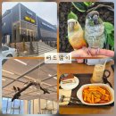 혜음로 | [파주] 버드앓이 카페 이전 앵무새 운동장이 생기다 코뉴어 앵무새와 함께한 비행장 후기