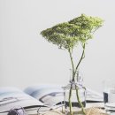 아트모빌 이미지