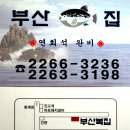 부산복집 Daum카페