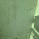 효성 현대1차아파트 | 인천 계양 탄성코트 효성동 효성현대1차 누수로 철골이 드러난 현장