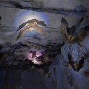 여주곤충박물관 이미지