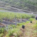 박정숙 농장 이미지