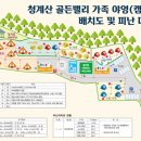 골든오토 이미지