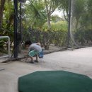 지후골프 이미지