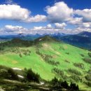 소중하개 이미지