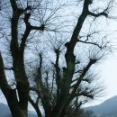 거제도 관광안내소 이미지